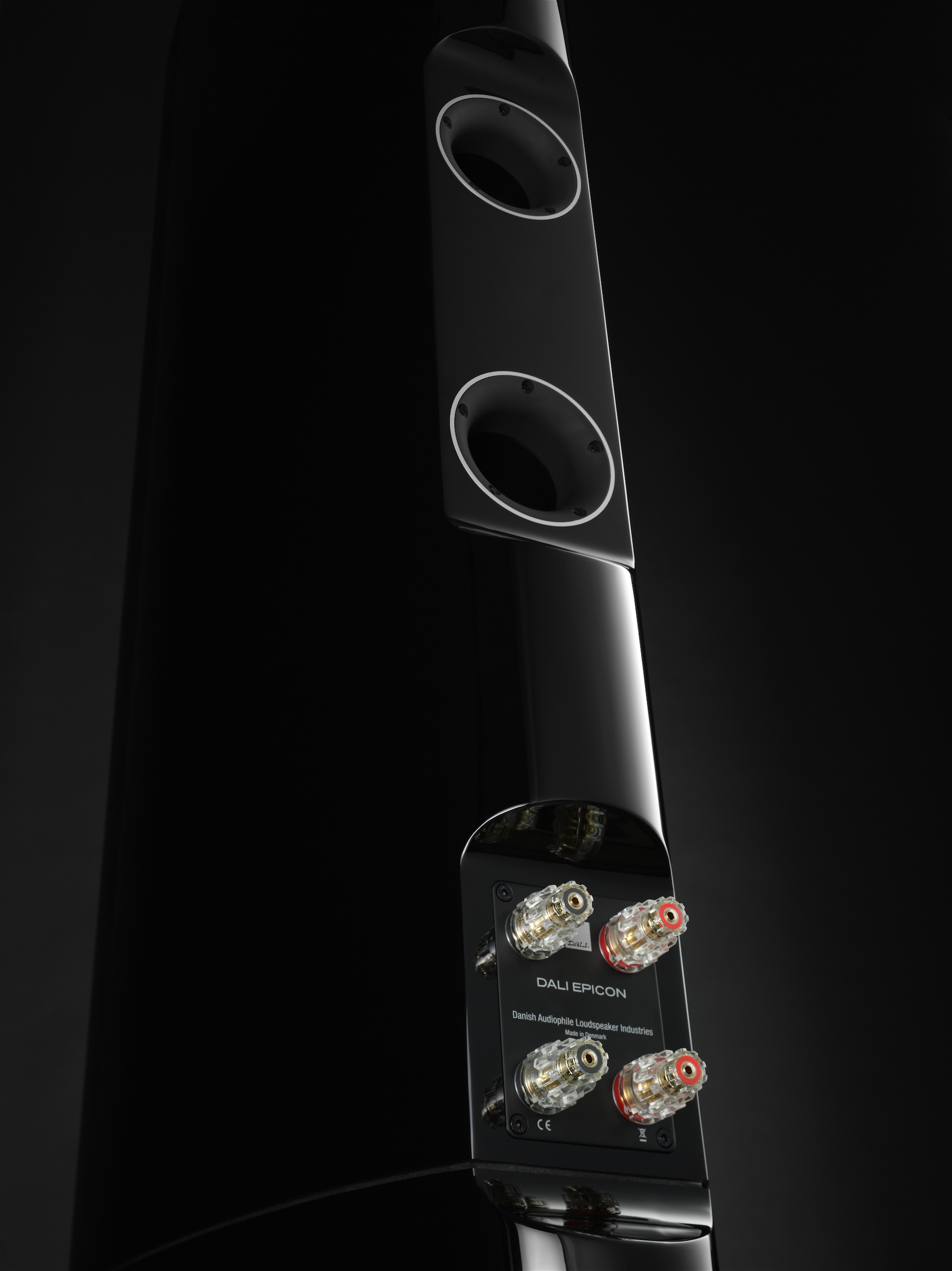 Напольная акустика Dali Epicon 8 ruby macassar high gloss